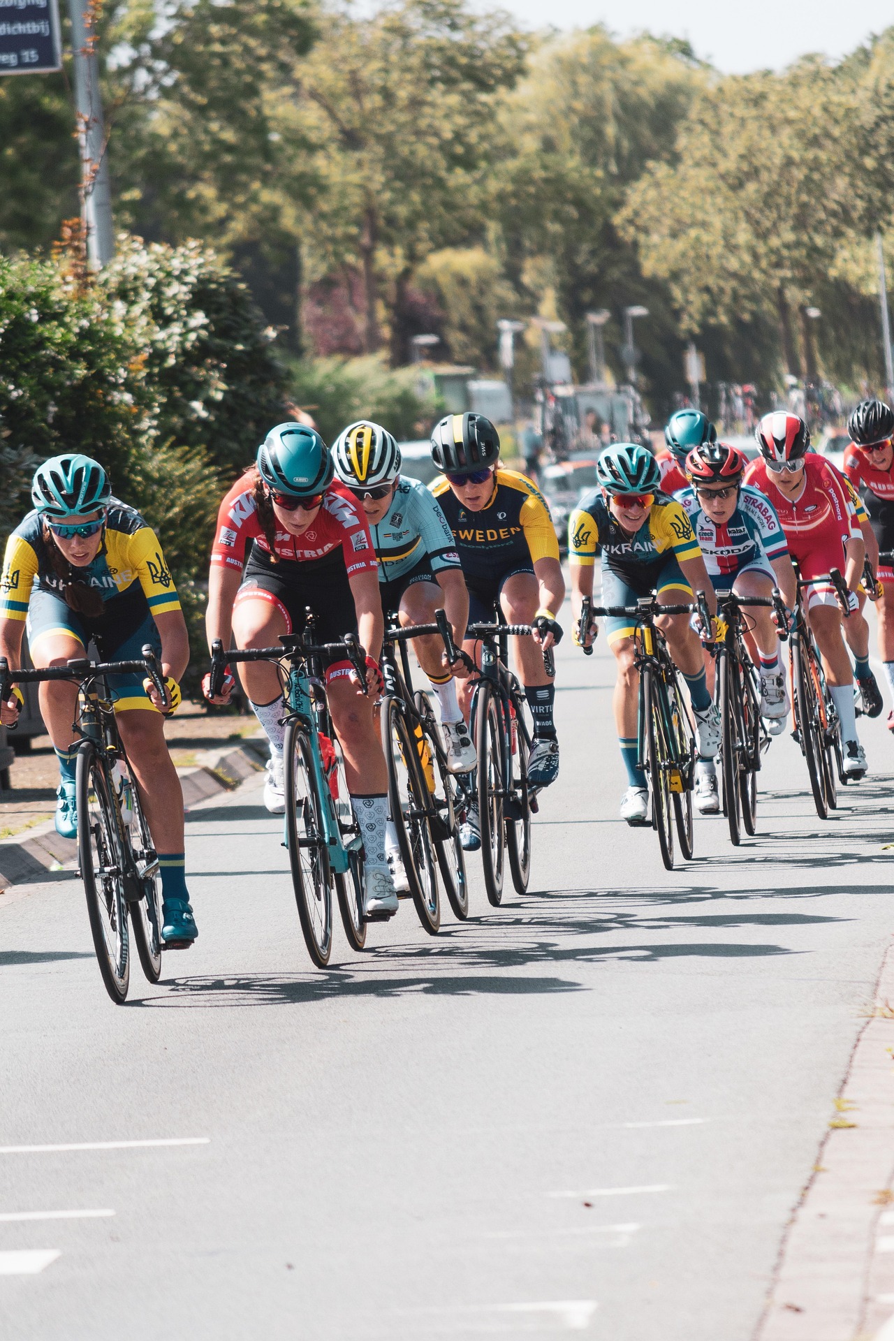 Road cyclists training together